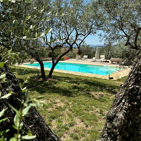 Agriturismo Uliveto Benedetti Spoleto Exterior photo