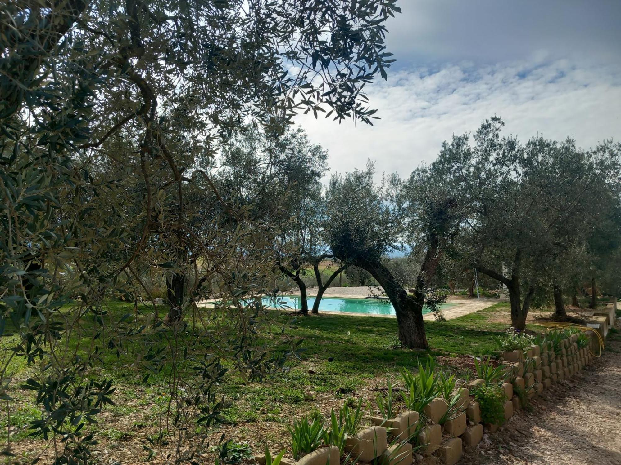 Agriturismo Uliveto Benedetti Spoleto Exterior photo