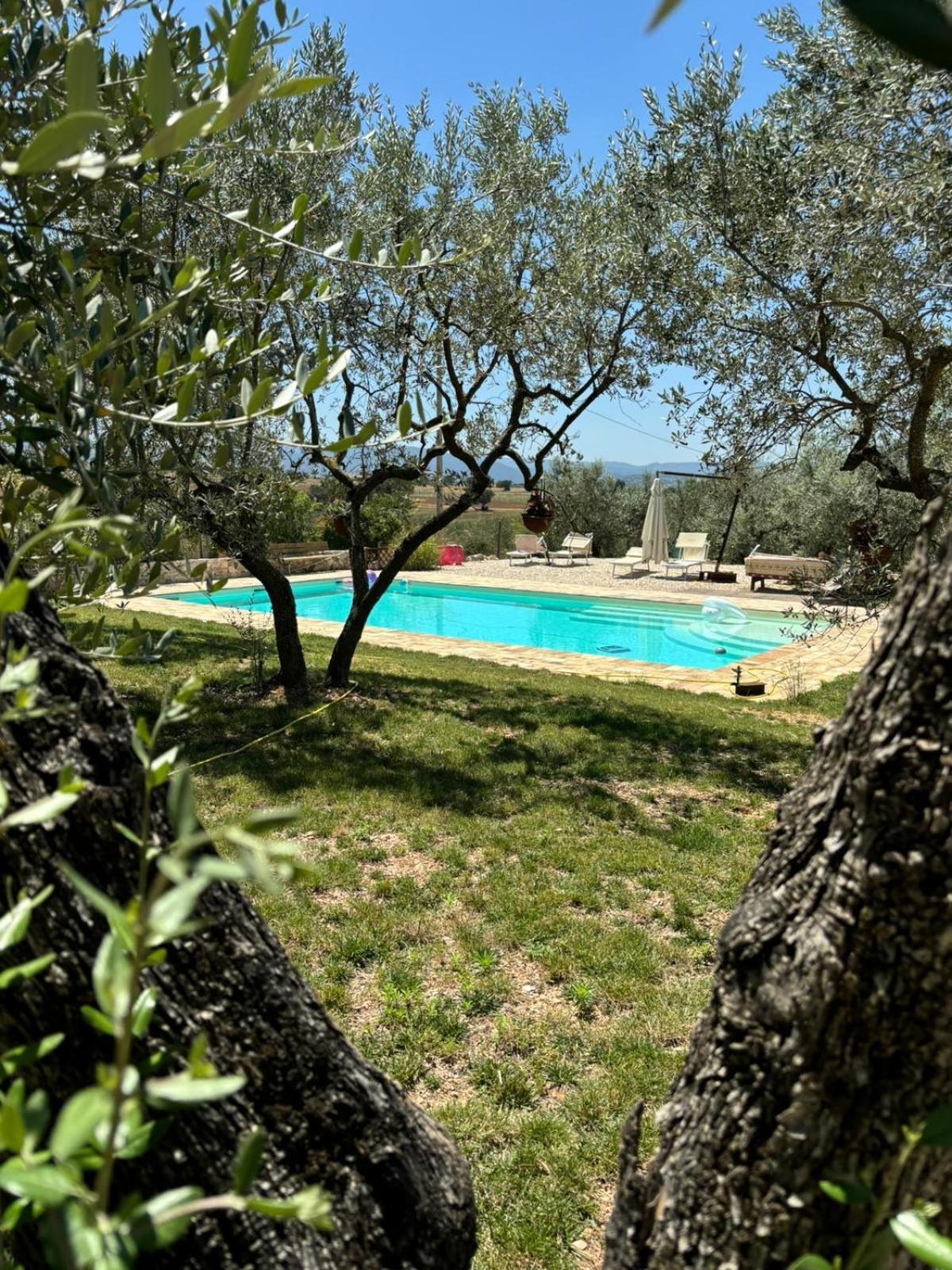 Agriturismo Uliveto Benedetti Spoleto Exterior photo